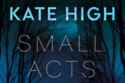 Small Acts of Deceit by author Kate High